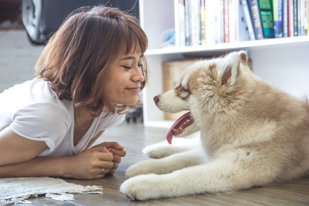 girl with husky