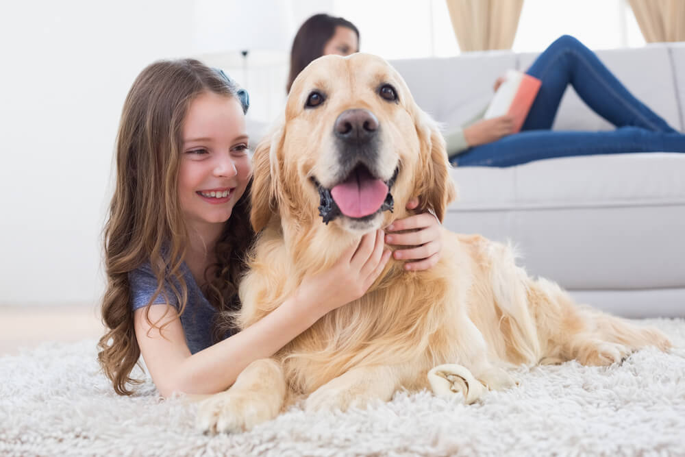 little-girl-with-smiling-golden-retriever