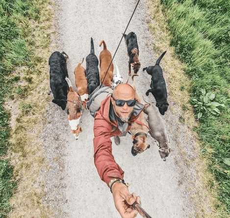 Picture of Matt Schreiber | Certified Dog Trainer