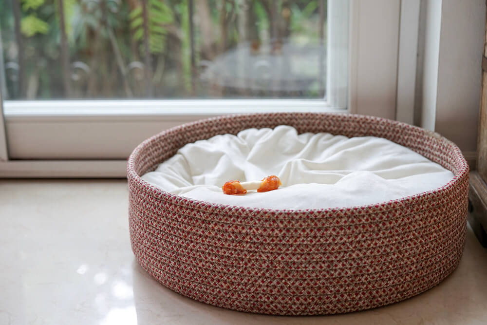 empty-dog-bed-basket-only-bone