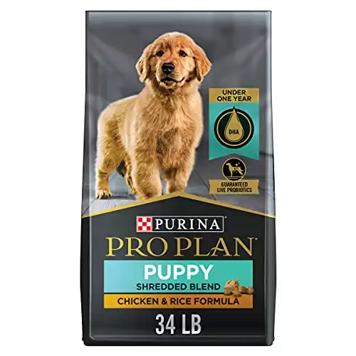 Purina Pro Puppy Food