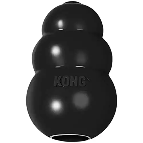 Kong