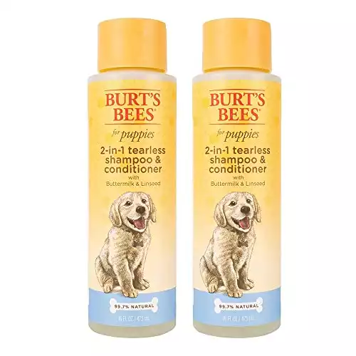 Burt's Bees 2 in 1