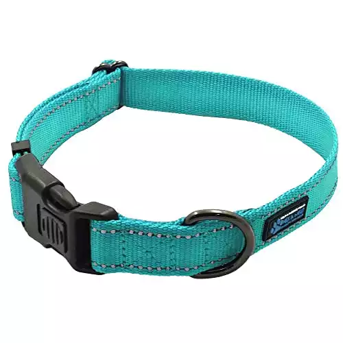 Max and Neo Nylon Collar