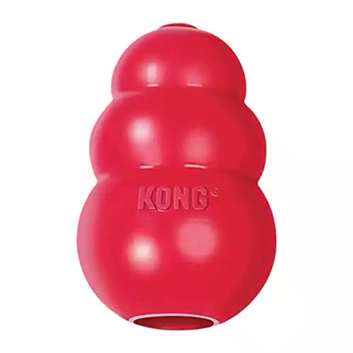 KONG Classic