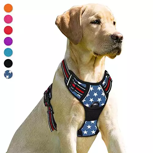 BarkBay American