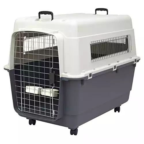 SportPet Plastic Kennel