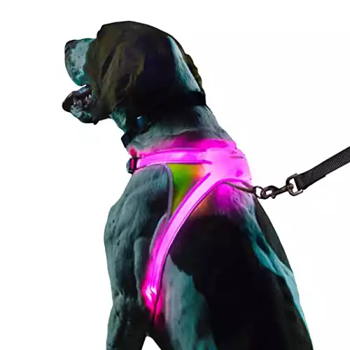 Noxgear LightHound