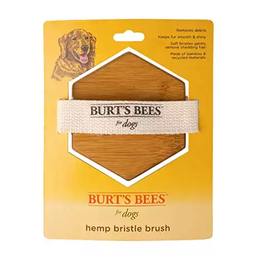 Burt's Bees