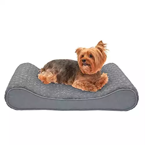 Furhaven Orthopedic Dog Bed