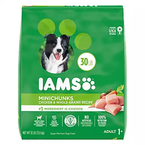 Iams Dry Dog Food