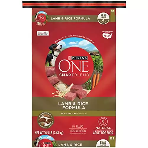 Purina ONE SmartBlend (Lamb)