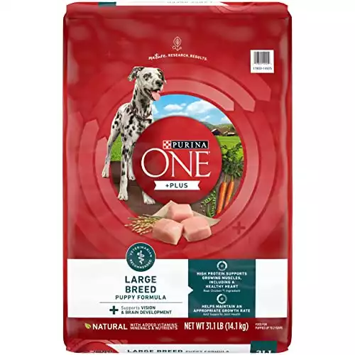 Purina ONE SmartBlend