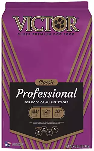 Victor Professional