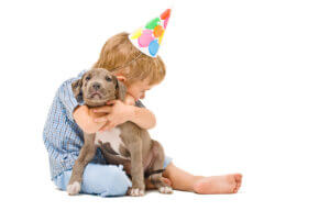 boy-hugs-puppy-pitbull